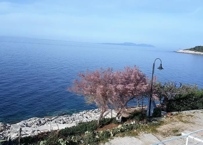Mia Milna (Hvar)