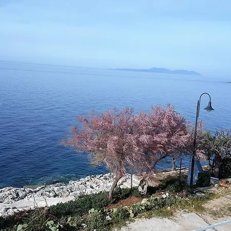 Mia Milna (Hvar)
